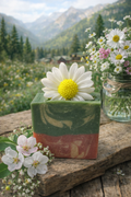 Daisies in the Hollow